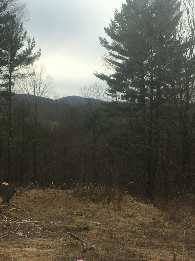 Cozy Cabin In The Catskills East Durham Esterno foto